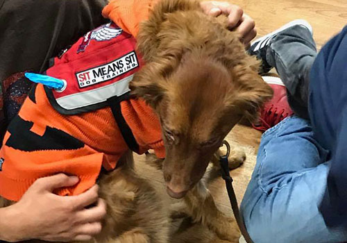 Caring Angels Therapy Dogs at SERVE Family Shelter